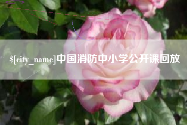 大同中国消防中小学公开课回放