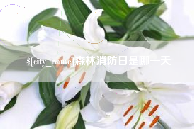 大同森林消防日是哪一天