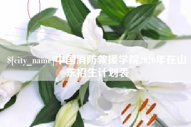 大同中国消防救援学院2020年在山东招生计划表