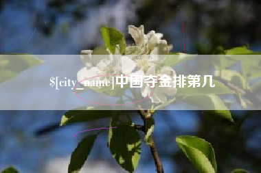 大同中国夺金排第几