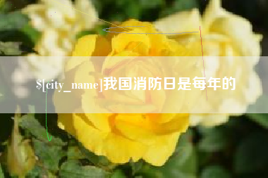 大同我国消防日是每年的