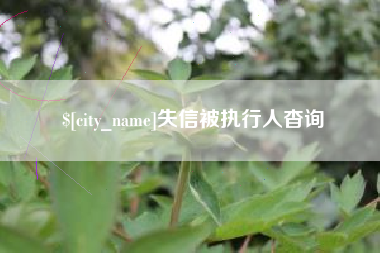 大同失信被执行人杳询