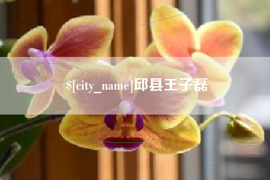大同邱县王子磊
