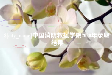 大同中国消防救援学院2020年录取结果