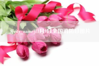 大同11月9日全国消防日图片