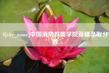 大同中国消防救援学院新疆录取分数