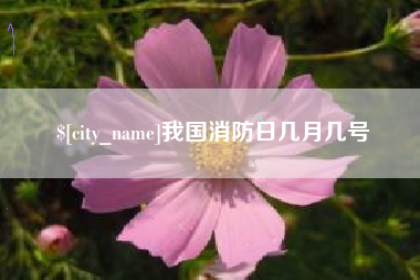 大同我国消防日几月几号