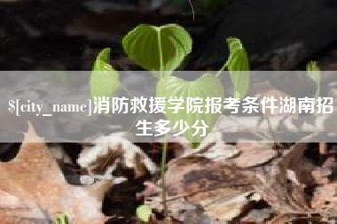 大同消防救援学院报考条件湖南招生多少分