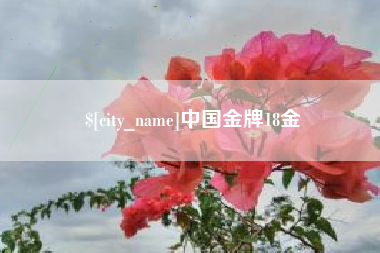 大同中国金牌18金