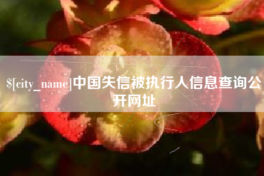 大同中国失信被执行人信息查询公开网址