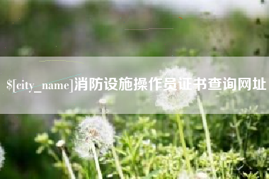大同消防设施操作员证书查询网址