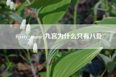 大同九宫为什么只有八卦