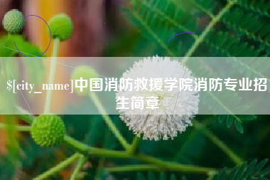 大同中国消防救援学院消防专业招生简章