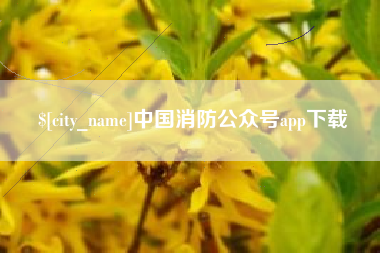 大同中国消防公众号app下载
