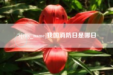 大同我国消防日是哪日