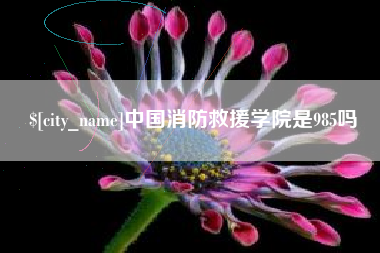 大同中国消防救援学院是985吗