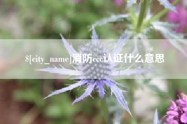 大同消防ccc认证什么意思