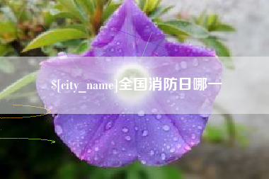 大同全国消防日哪一