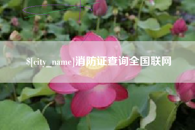 大同消防证查询全国联网