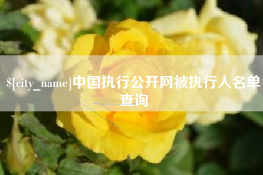大同中国执行公开网被执行人名单查询