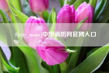 大同中国消防网官网入口