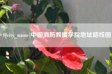 大同中国消防救援学院地址路线图