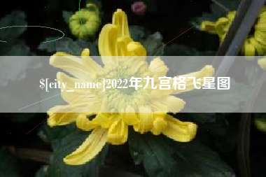 大同2022年九宫格飞星图