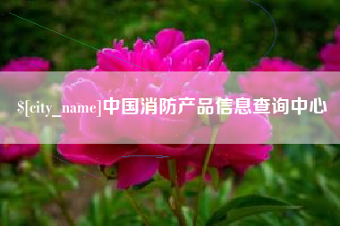 大同中国消防产品信息查询中心