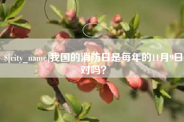 大同我国的消防日是每年的11月9日对吗？