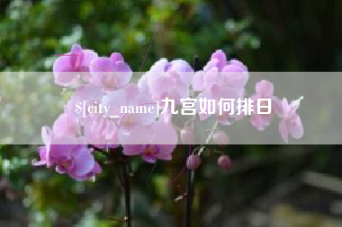 大同九宫如何排日