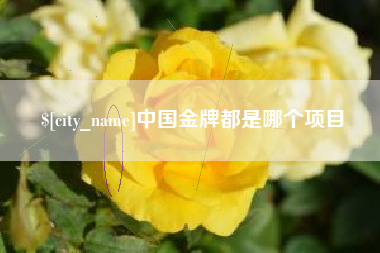 大同中国金牌都是哪个项目