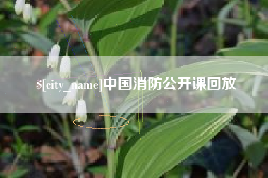 大同中国消防公开课回放