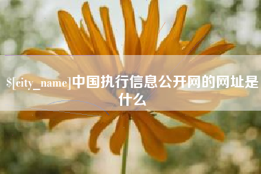 大同中国执行信息公开网的网址是什么