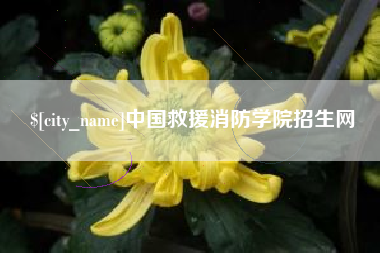 大同中国救援消防学院招生网
