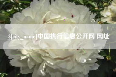 大同中国执行信息公开网 网址