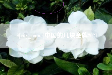 大同中国的几块金牌2021