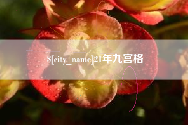 大同21年九宫格