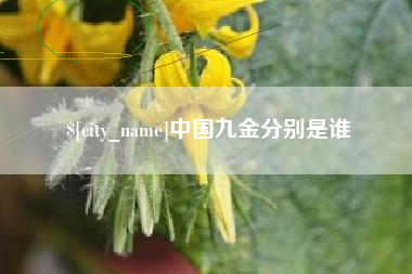 大同中国九金分别是谁
