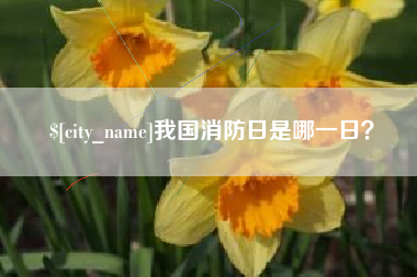 大同我国消防日是哪一日？