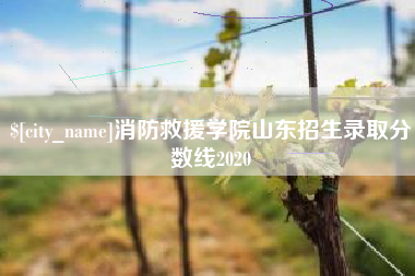 大同消防救援学院山东招生录取分数线2020