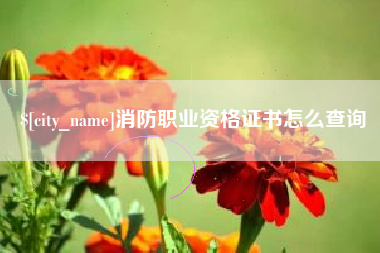 大同消防职业资格证书怎么查询