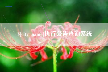 大同执行公告查询系统