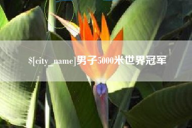 大同男子5000米世界冠军