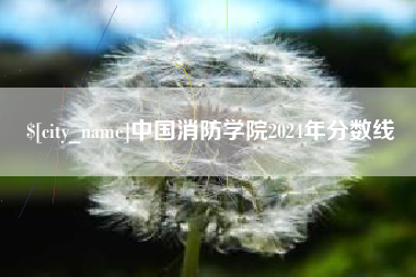大同中国消防学院2024年分数线
