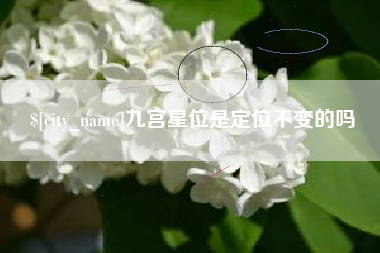 大同九宫星位是定位不变的吗