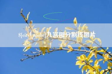 大同九宫图分割线图片