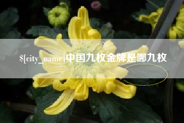 大同中国九枚金牌是哪九枚