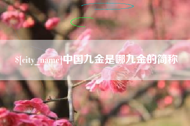 大同中国九金是哪九金的简称