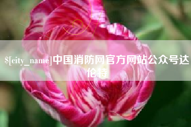 大同中国消防网官方网站公众号达伦特