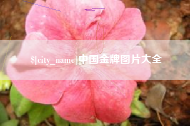 大同中国金牌图片大全